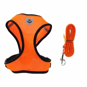 Lux Pets Szelki Oddychające Bezuciskowe Airmesh Ze Smyczą 120 Cm Pomarańczowe Xl 38-57 Od 6 Do 8 Kg