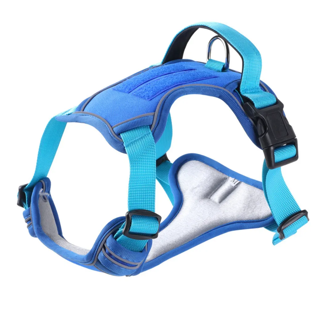 Lux Pets Uprząż Safety Reflective Szelki Odblaskowe Błękitno Niebieskie L 54-71 Od 28 Do 45 Kg